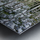 White Trees Metal print