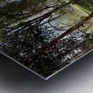 Little Waterway Metal print