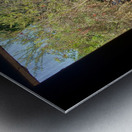 Tree by the Window 2 Metal print