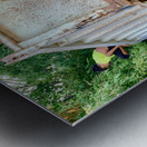 Playing with the Big Truck Metal print