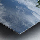 The Tree Impression metal