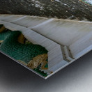 Puppy Walking Down Metal print