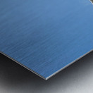 Seagull Look 2 Metal print