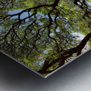 All the Branches Metal print