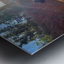 Cows in the Sun Metal print