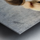 Give Me Some Room Puppy Metal print