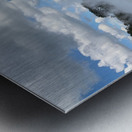 Branches reflections Metal print