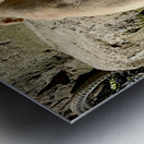 Puppy s efforts Metal print