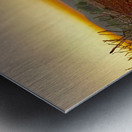 Sunset Over the Red Soil  Metal print