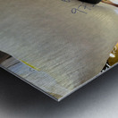 Rice Bag on the Head Metal print