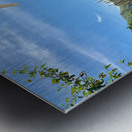 Sun Through the Bamboo Fence Metal print