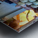 Vegetable Stand Metal print