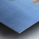 Water Buffalo Head in front of Temple Metal print