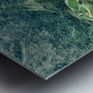 S-Shaped River Rice Valley Metal print