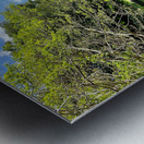 Both Side Reflections Metal print