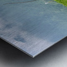 Asian Scarecrow Metal print