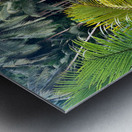 Blue Water in the Jungle Impression metal