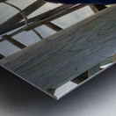 Dog Watching the Sunset Metal print