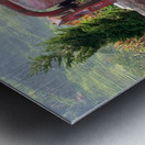 Dog Standing on Wood Metal print