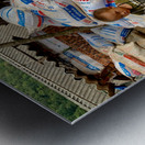 No One Will Touch These Bags Metal print