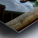 Boy Looking Over the Rice Field Metal print