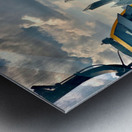 Look it s Singapore Metal print