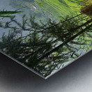 Enter the Rice Fields Metal print