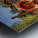 Little Girl on the Farm Metal print