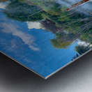 Mysterious Reflection Metal print