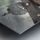 The Crown Metal print