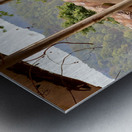 The Cat Living in the Ambulance Metal print