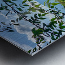 Working the Rice Fields Metal print