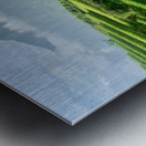 Rice Fields Going Down Metal print