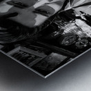 BW Elvis Metal print