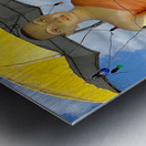 Buddha Under the Umbrella Metal print