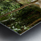 Dog Looking at the Horizon Metal print