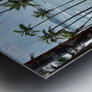 Coconut Hill Metal print