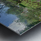 Lets Clean the Park Metal print