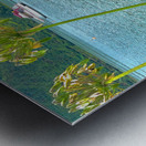 Empty Boat on the Lake Metal print