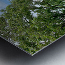 Jungle View Metal print