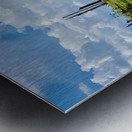 Field of Broken Trees Metal print