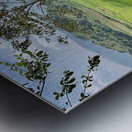 Little House by the Rice Fields Metal print