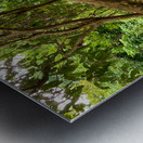 Swing in the Jungle Metal print