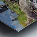 Water for the Rice Field Workers Metal print