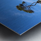 Tree Over The Rock Metal print