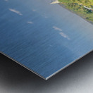 Downward Facing Dog Metal print