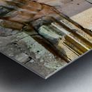 Birds in Historical Site Metal print