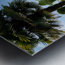 Garden in the Sky Metal print