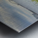 Bird Looking at the Bridge Metal print