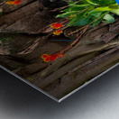 Blue  Green Boat Reflection with Flowers Impression metal